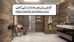 تكسير وترميم حمامات في العين