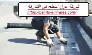 شركة عزل اسطح في الشارقة