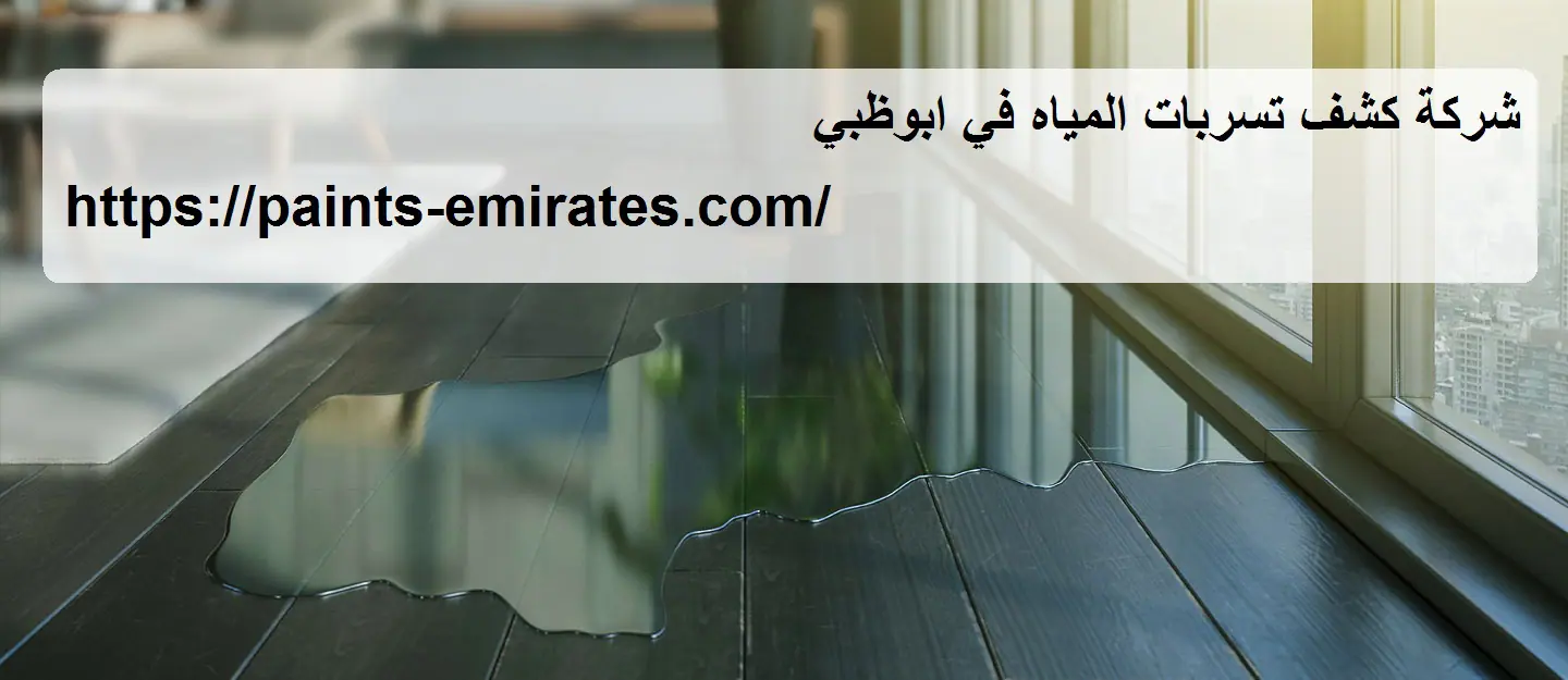 شركة كشف تسربات المياه في ابوظبي