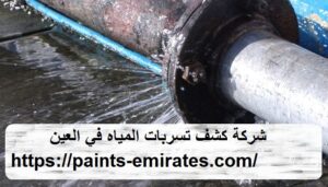 شركة كشف تسربات المياه في العين