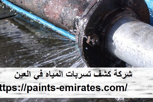 شركة كشف تسربات المياه في العين