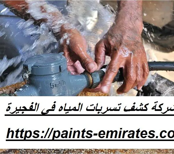 شركة كشف تسربات المياه في الفجيرة