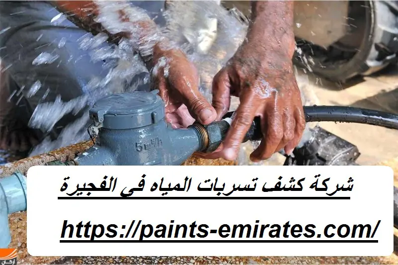شركة كشف تسربات المياه في الفجيرة